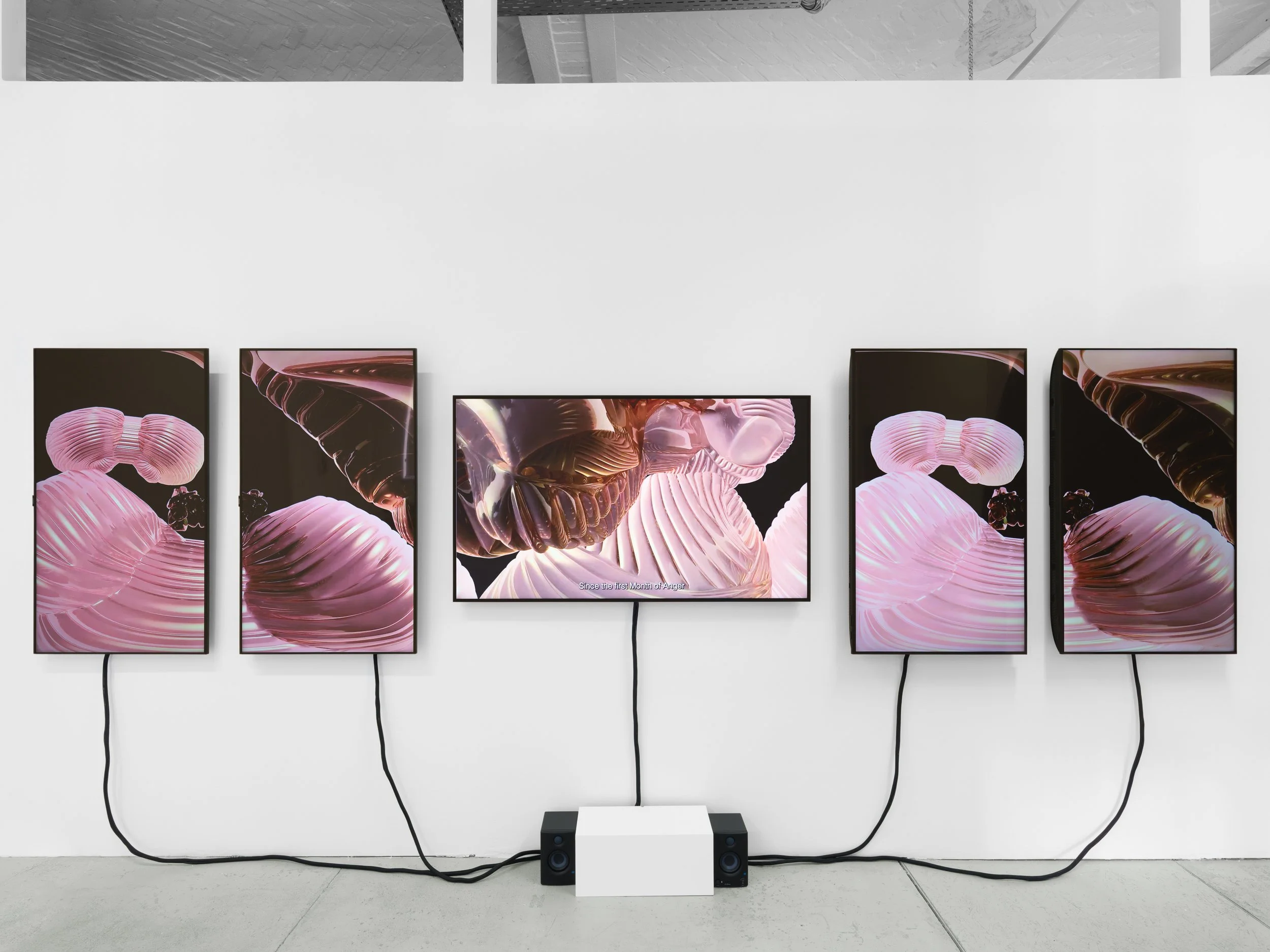 SaloméChatriot_VoidIsSeductive_ExhibitionView3_2026..jpg