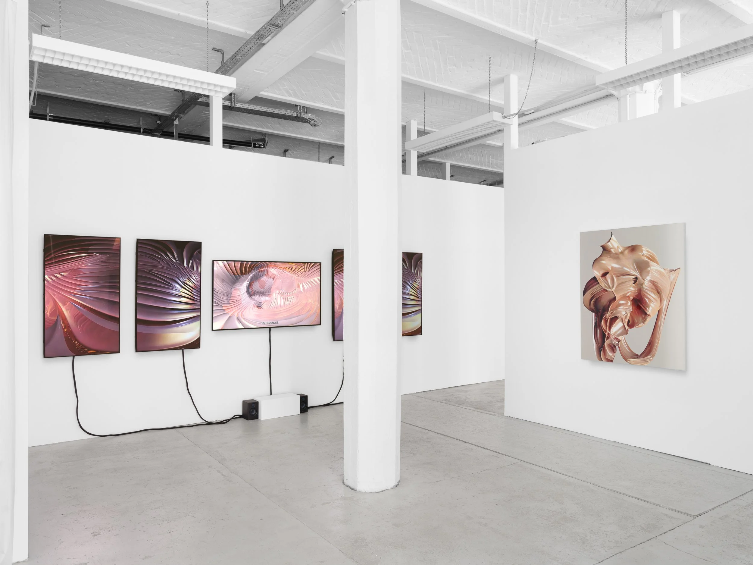 SaloméChatriot_VoidIsSeductive_ExhibitionView4_2026..jpg