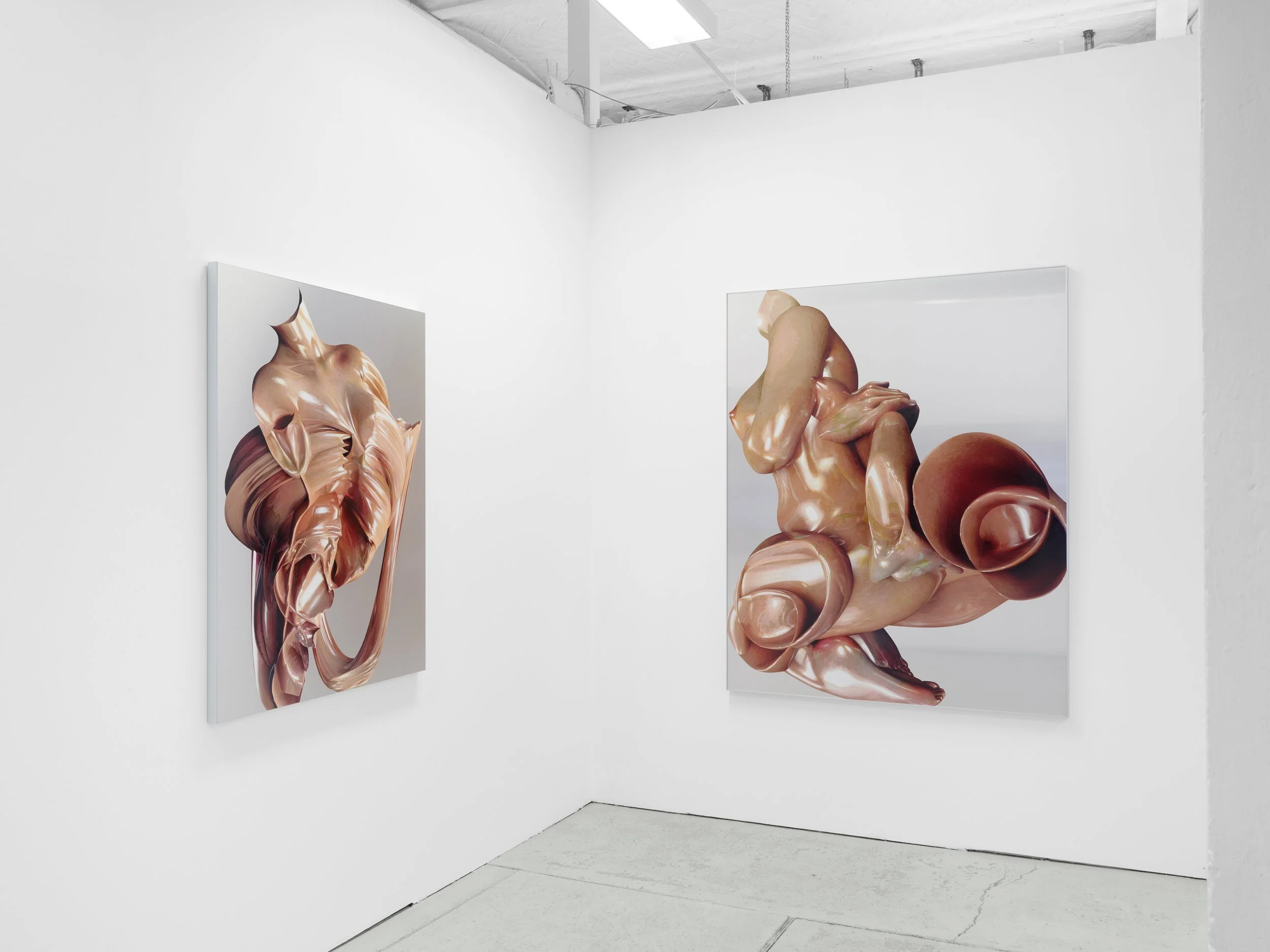 SaloméChatriot_VoidIsSeductive_ExhibitionView6_2026..jpg
