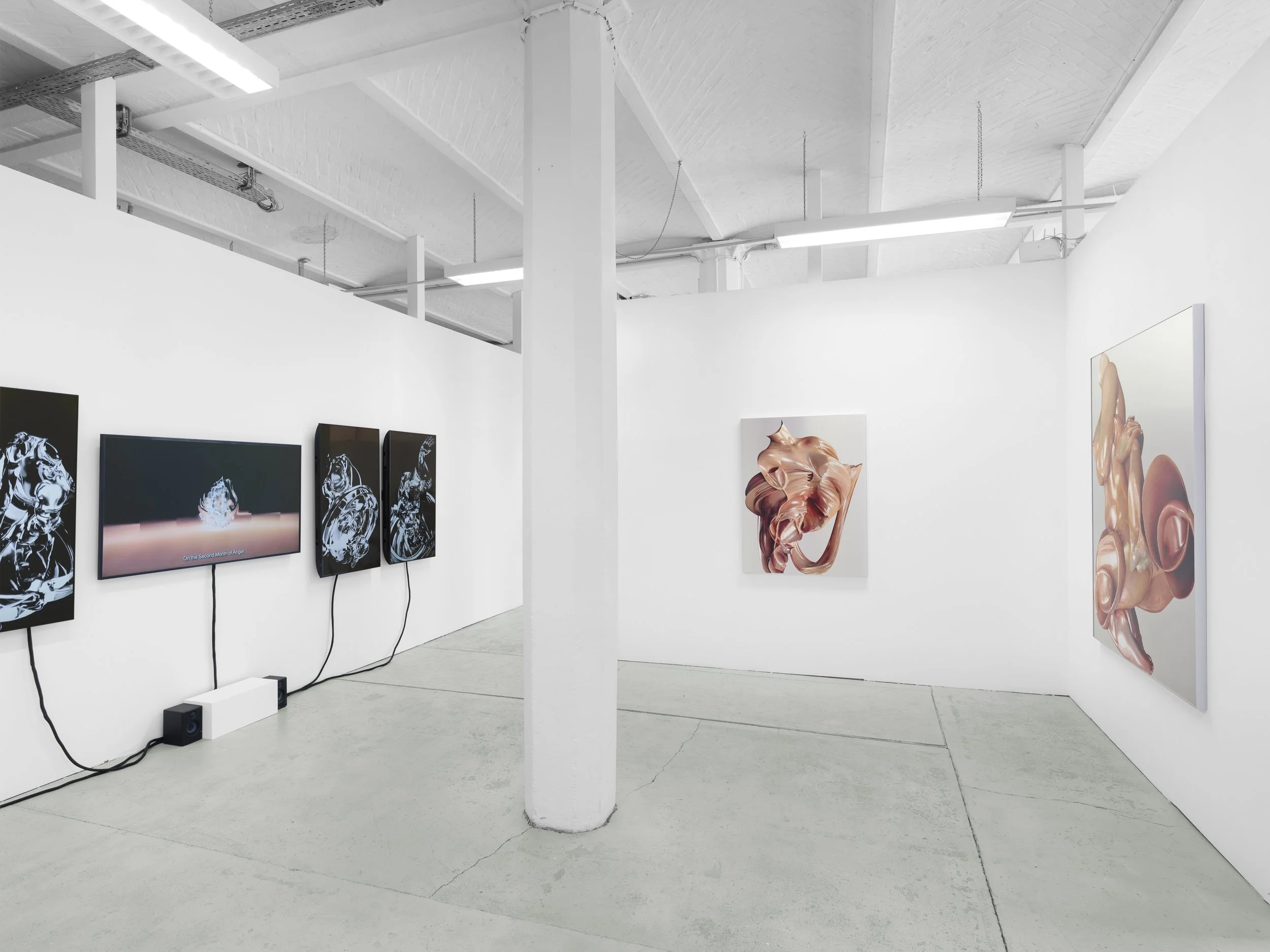 SaloméChatriot_VoidIsSeductive_ExhibitionView7_2026..jpg