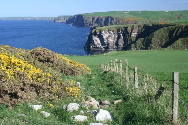 Looking east from the path to Troup Head