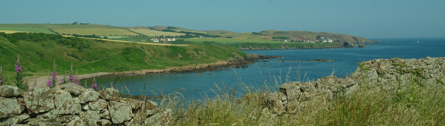 linkim-shore-view-st-abbs.jpg