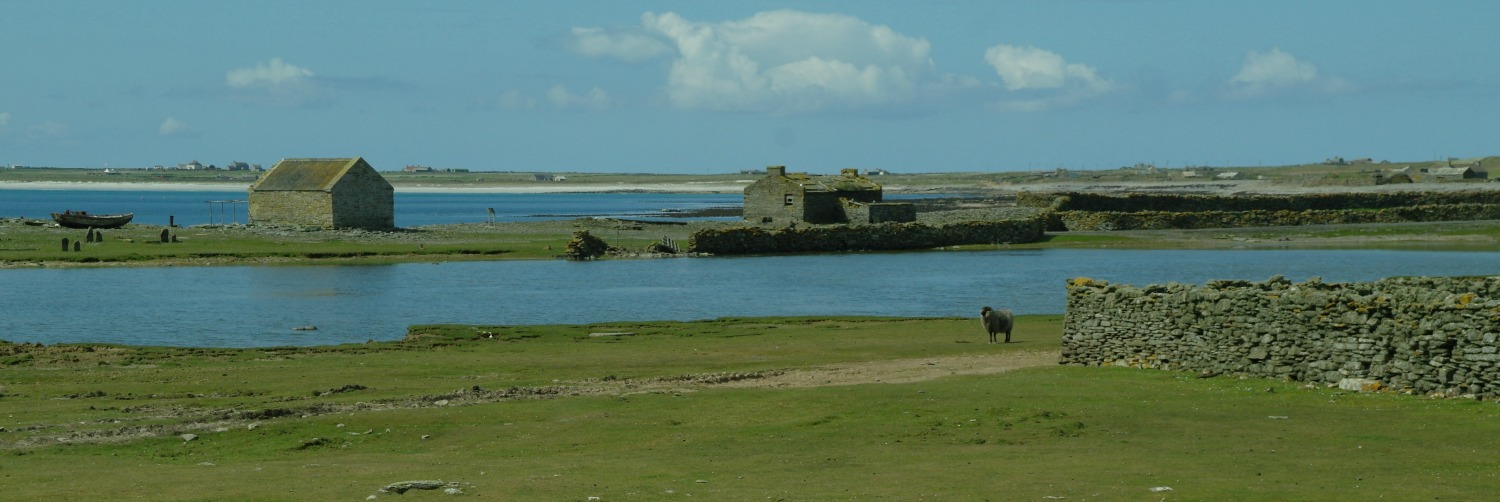 north-ronaldsay.jpg