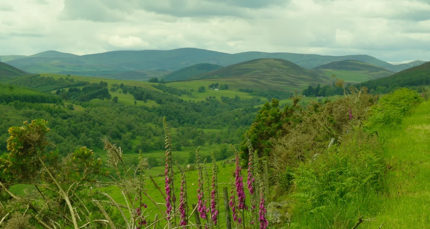 Glen Prosen, Angus.