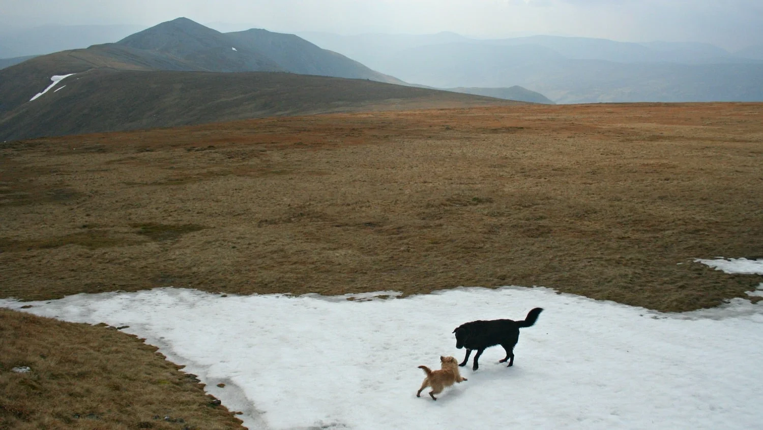 Looking south towards Creag Leacach
