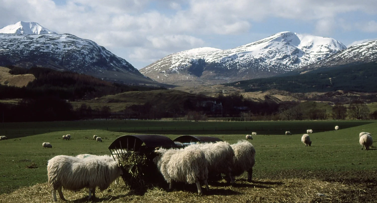 From the West Highland Way, near Crianlarich