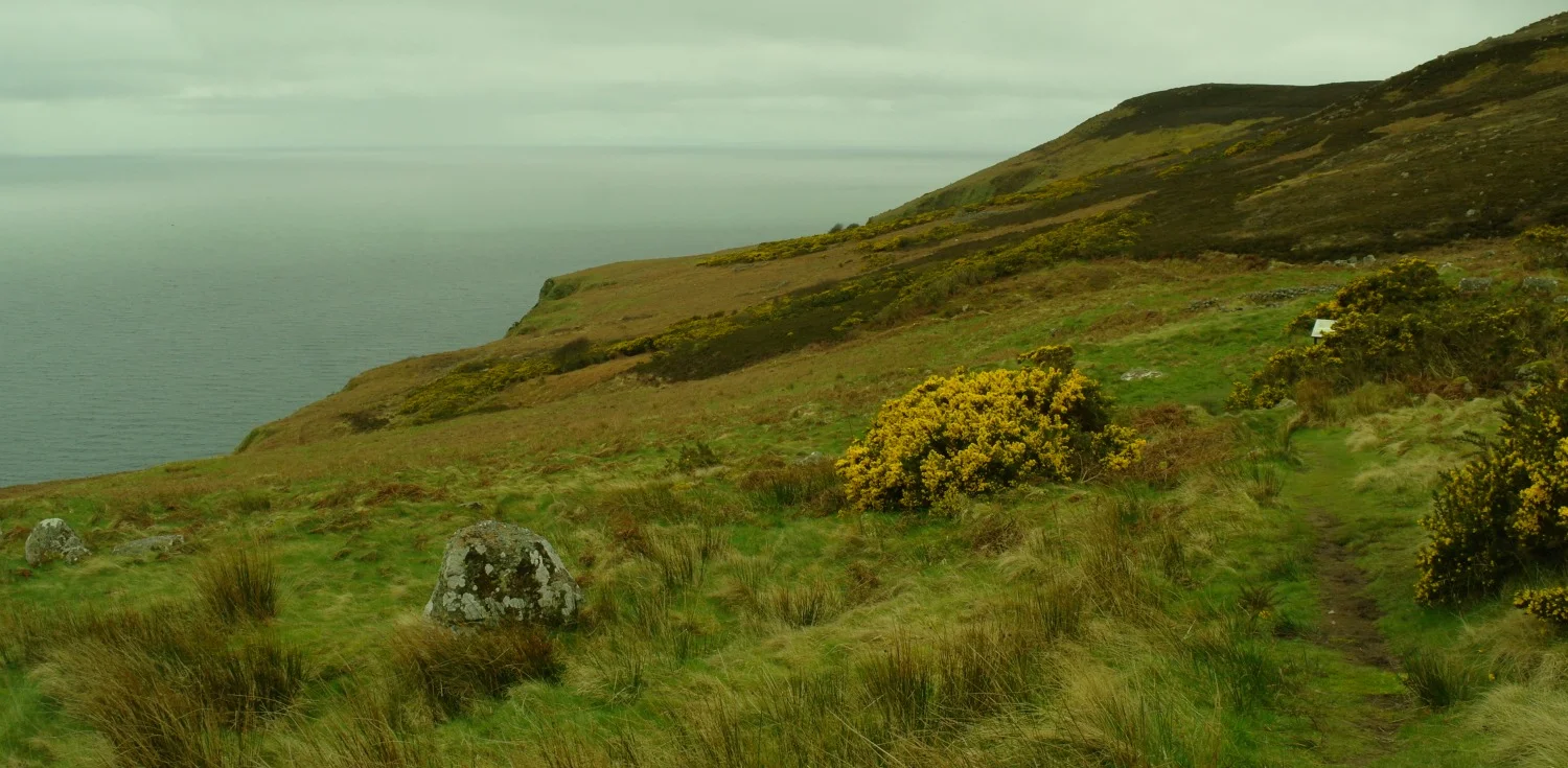 Coastal scenery at Badbea, Clearance Village, Sutherland