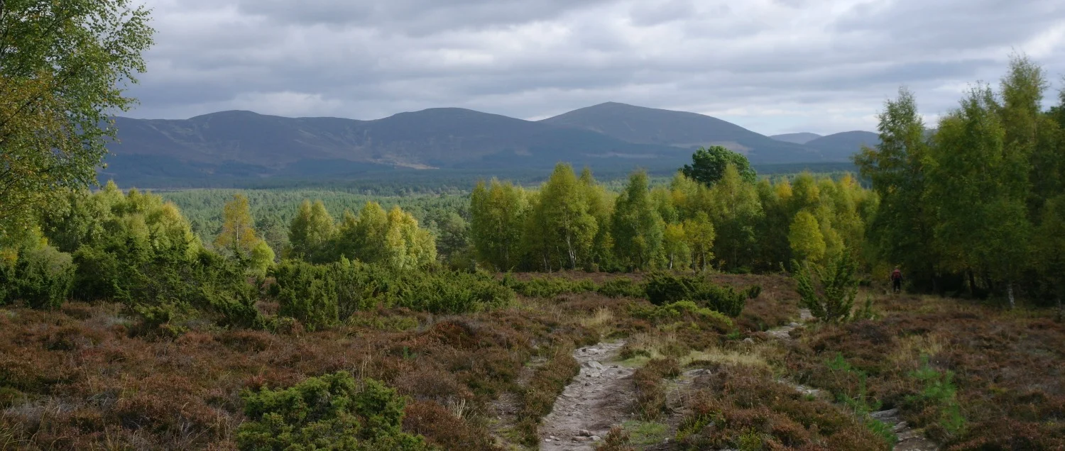 In the Cairngorms National Park, near Aviemore