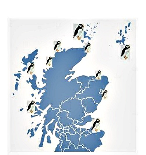 Where to see puffins in Scotland - some examples of the locations