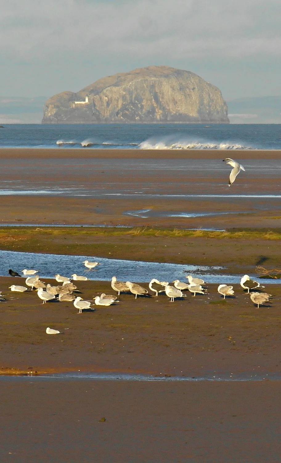 Bass Rock from Belhaven Bay, Dunbar.