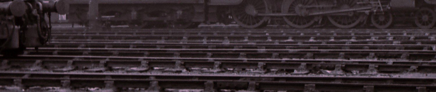 steam-header.jpg
