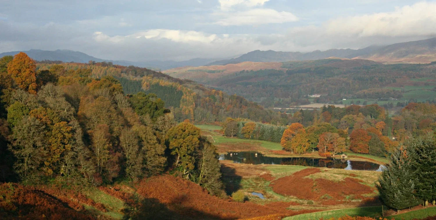 Strathearn in autumn, west of Crieff, Perthshire. The bracken is especially attractive when it goes over.