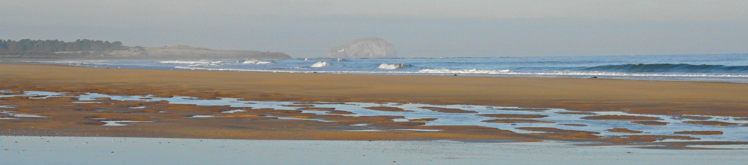 John Muir Country Park, East Lothian, low tide