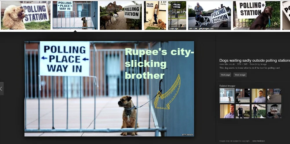 SImba the terrier's image now belongs to Getty Images. Gosh.