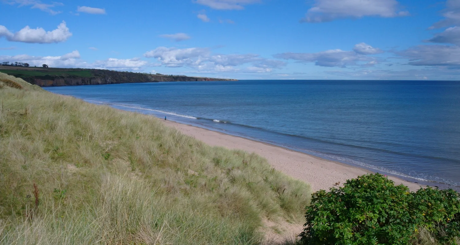 Lunan Bay, Angus - another classic east-coast beach.