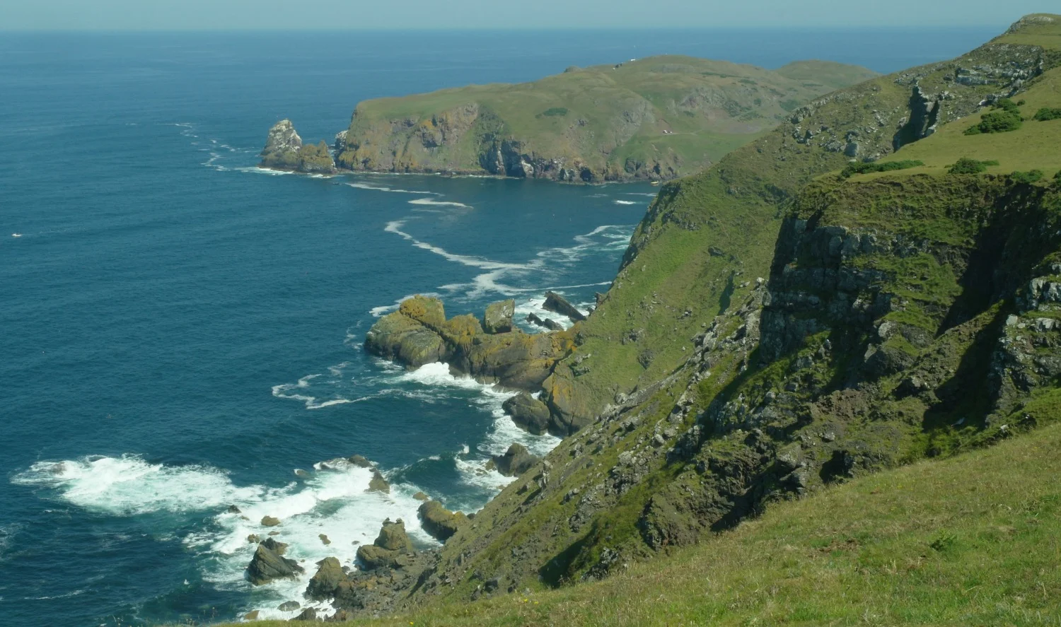 St Abb's Head, near the village of St Abbs, makes it on to our list of ten best places for wildlife because it's easy to reach and the seabird colonies are spectacular. So is the coastline. This picture looks back at St Abb's Head from the north-west. The white speck at the top of the picture is the tip of the lighthouse.