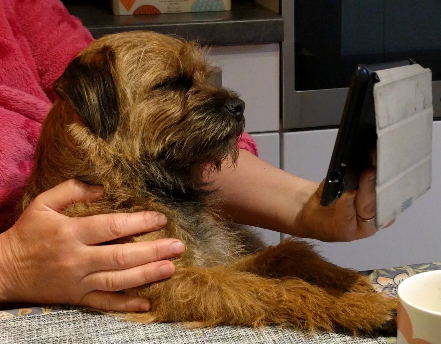 Robbie checking the Dugs n Pubs website.