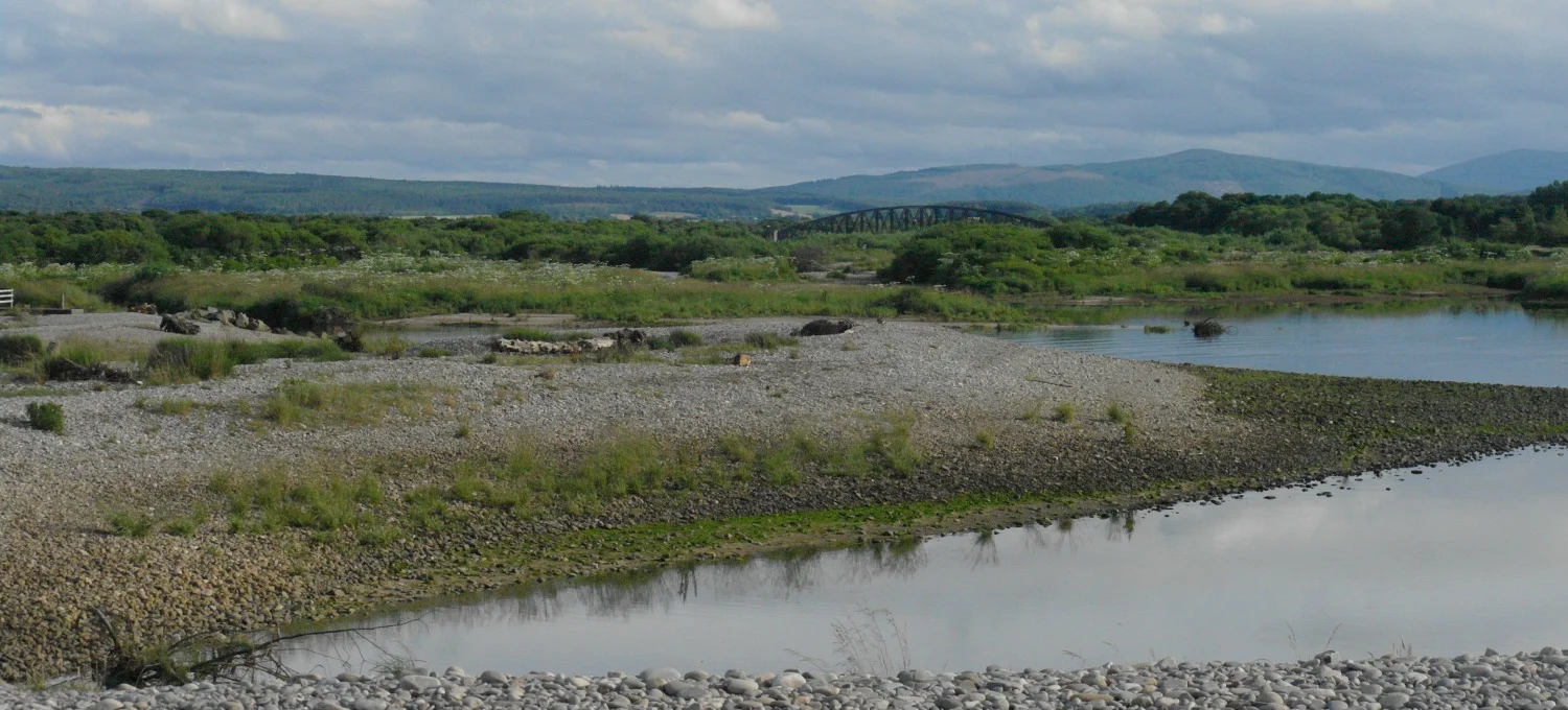 The east bank of the River Spey looking (perversely!) upstream from the mouth. The bridge formerly carried the old Great North of Scotland railway line that went along the coast. Now it's a walkway and cycleway. RAF Dallachy lay beyond the trees, on the far left.