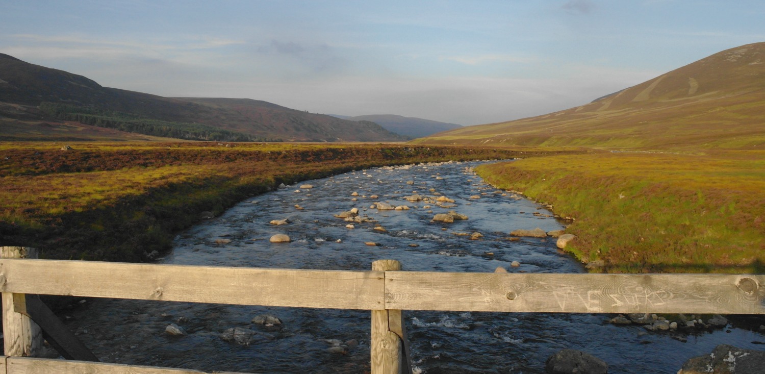 Looking east from White Bridge, which spans the young River Dee about half-an-hour's blistered limping west of the Linn of Dee and the Mar Lodge Estate carpark. The attack of the killer midges took place on the river-flats (we'd call them haughs) on the left-hand side.