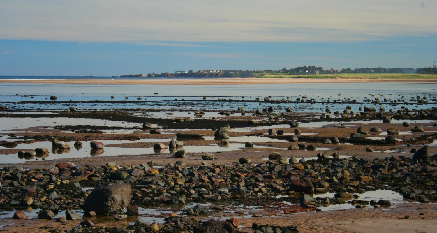 The tide is falling and the estuary of the River Tyne lies between me and the town of Dunbar on the horizon. The John Muir Country Park is a great resource for East Lothian folk.