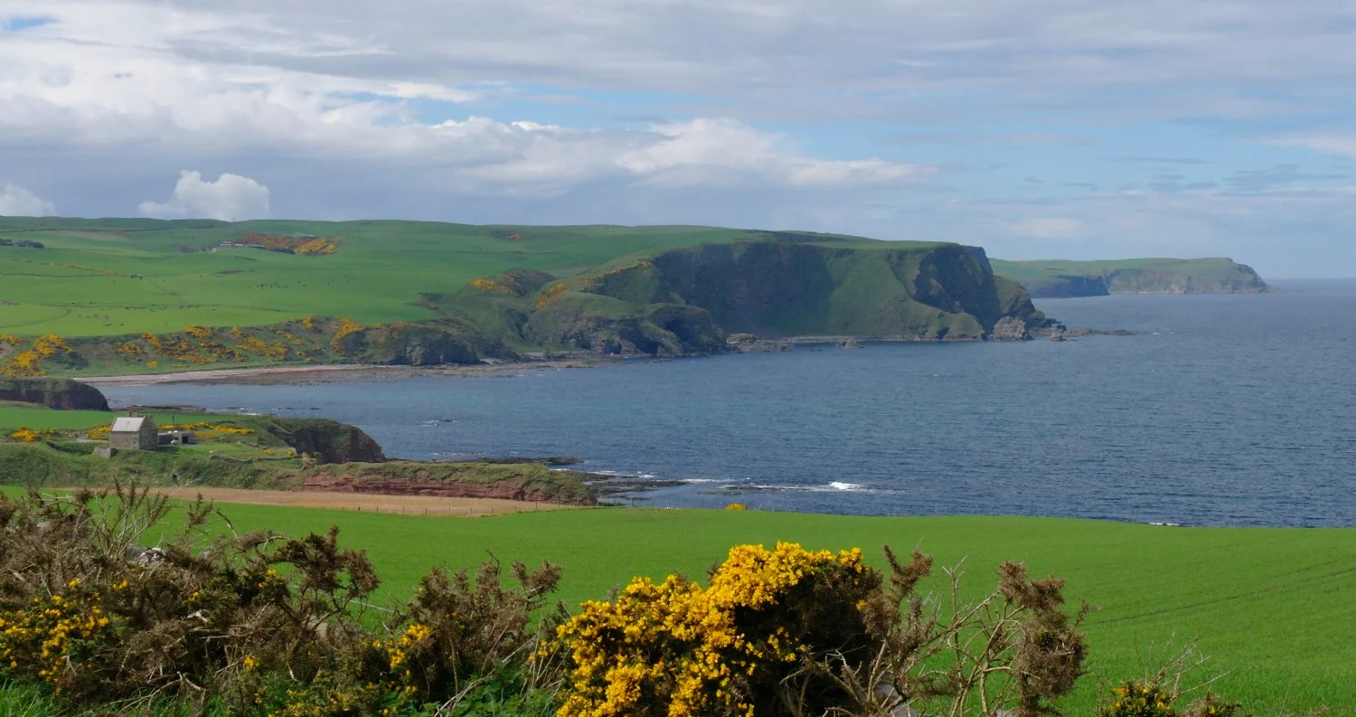 Perhaps the Bonaventure came ashore further west still. The coastline becomes increasingly rugged here, towards Pennan and Troup Head. The former site of the ancient Castle of Dundarg (from Gaelic ‘red fort’) is the nearer reddish headland above and left of the yellow flowering gorse.
