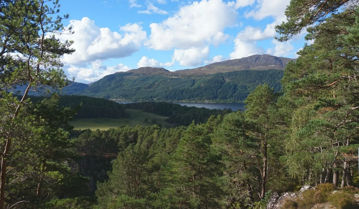 Loch Ness from near Foyers