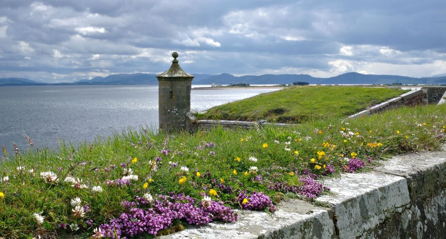 Looking south-west down the Great Glen, left horizon, from the ramparts of the amazing Fort George, near Nairn. Another breezy location where biting insects find it hard going.
