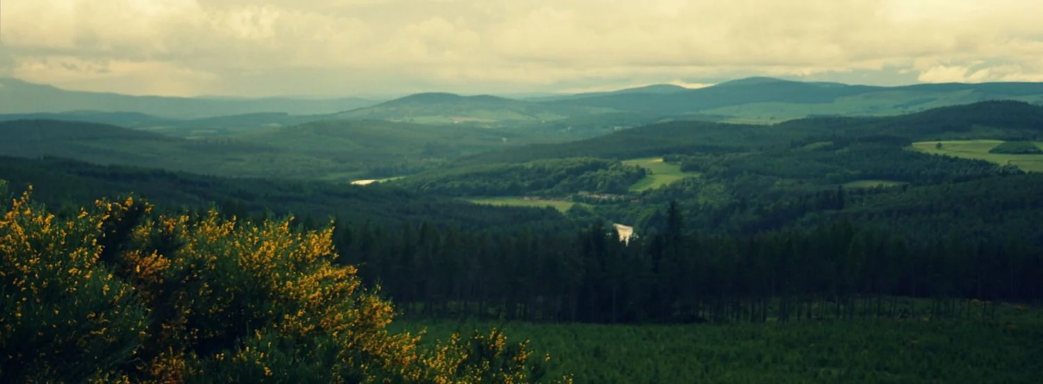 SUMMER EVENING - VALLEY OF THE RIVER DEE - MIDGE WEATHER