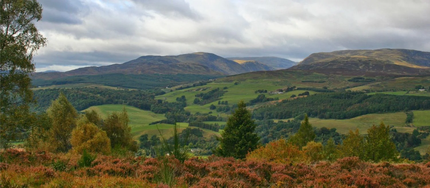 View north from the Knock Hill, Crieff, Perthshire