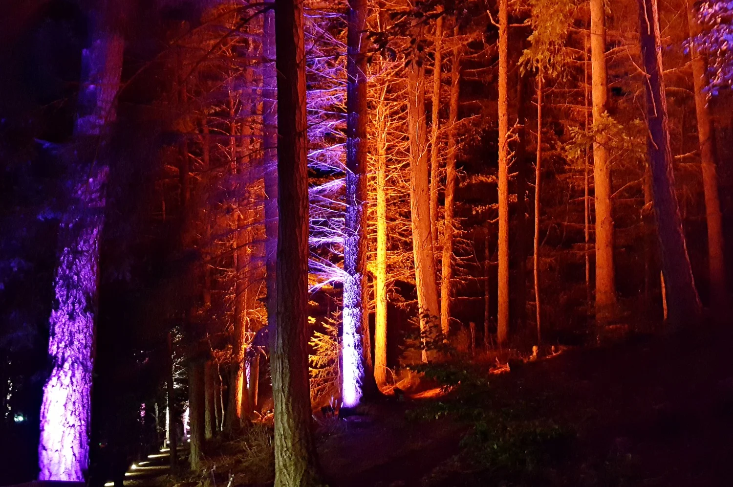 No, not an alien encounter in the woods. It's the Enchanted Forest at Pitlochry.