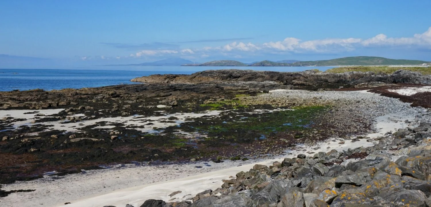 So, if you've never smelt the tangle o the isles, as the song suggests, you could get yourself out to, for instance, the Isle of Barra, Outer Hebrides. Lovely beaches, and some of them have lots of tangle for you to get as many lung-fulls as you would want. And there's even a place on Benbecula called Stinky Bay as it has so much of the stuff. Obviously, seaweed on beaches isn't exactly scarce anywhere. Click the picture to find out more about the Isle of Barra.