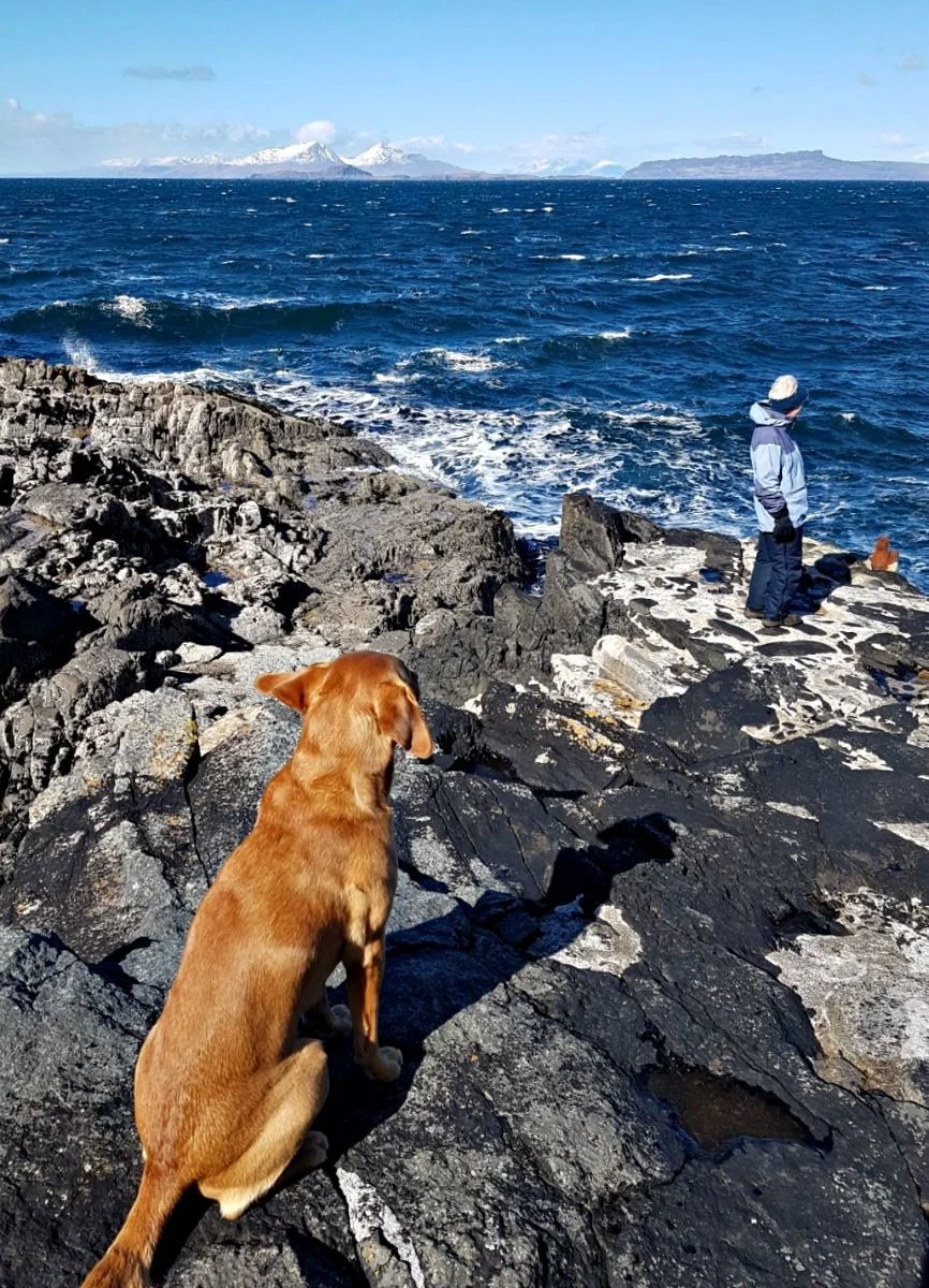 It's windy but bright - certainly windy enough to raise a Labrador's ears from their usual position. Peaks of Rum left of centre. Credit: Magnus Lugs Photography Inc.