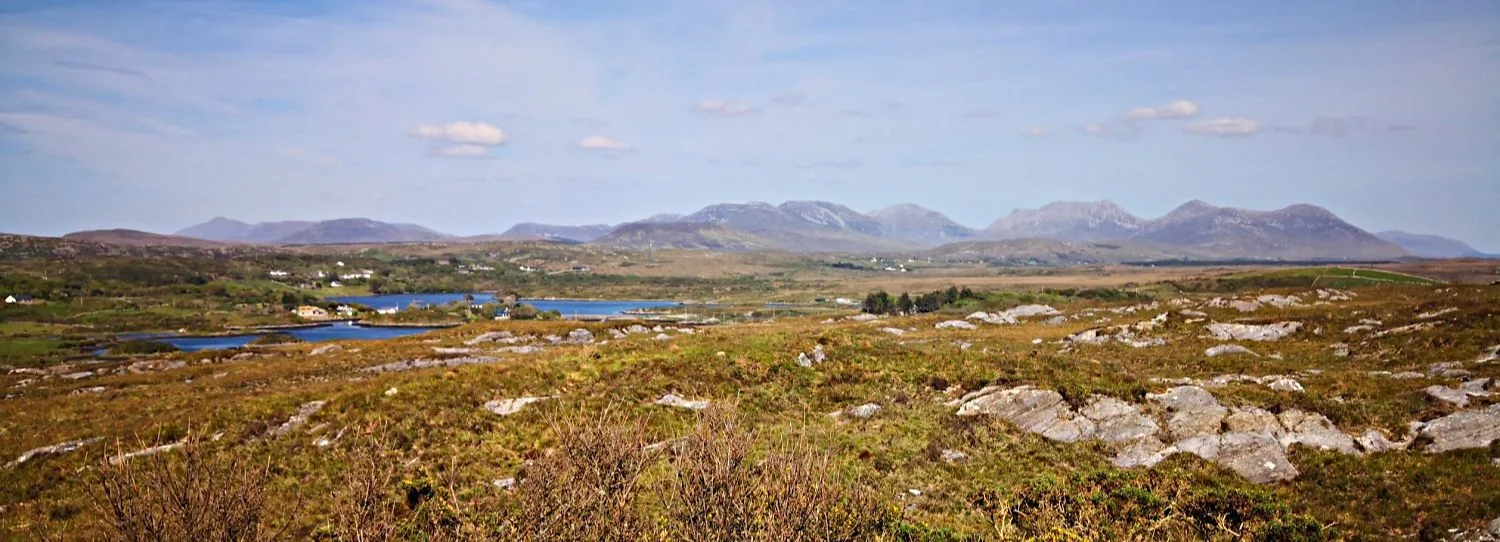 Scotland or Ireland? Moor, mountain, distant blue water…could be either? Actually, it’s the view roughly north-eastward from the Alcock & Brown Memorial near Clifden. I promise that all the pictures are of Ireland (including the header pic).