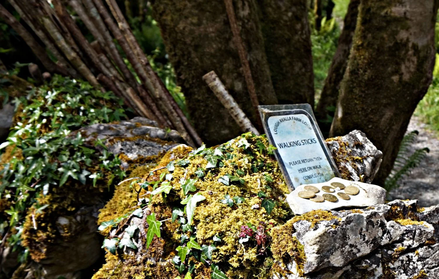 Well, that’s very considerate of them….help yourself to a hazel cudgel to ensure you don’t fall off the clnts and into the grikes.
