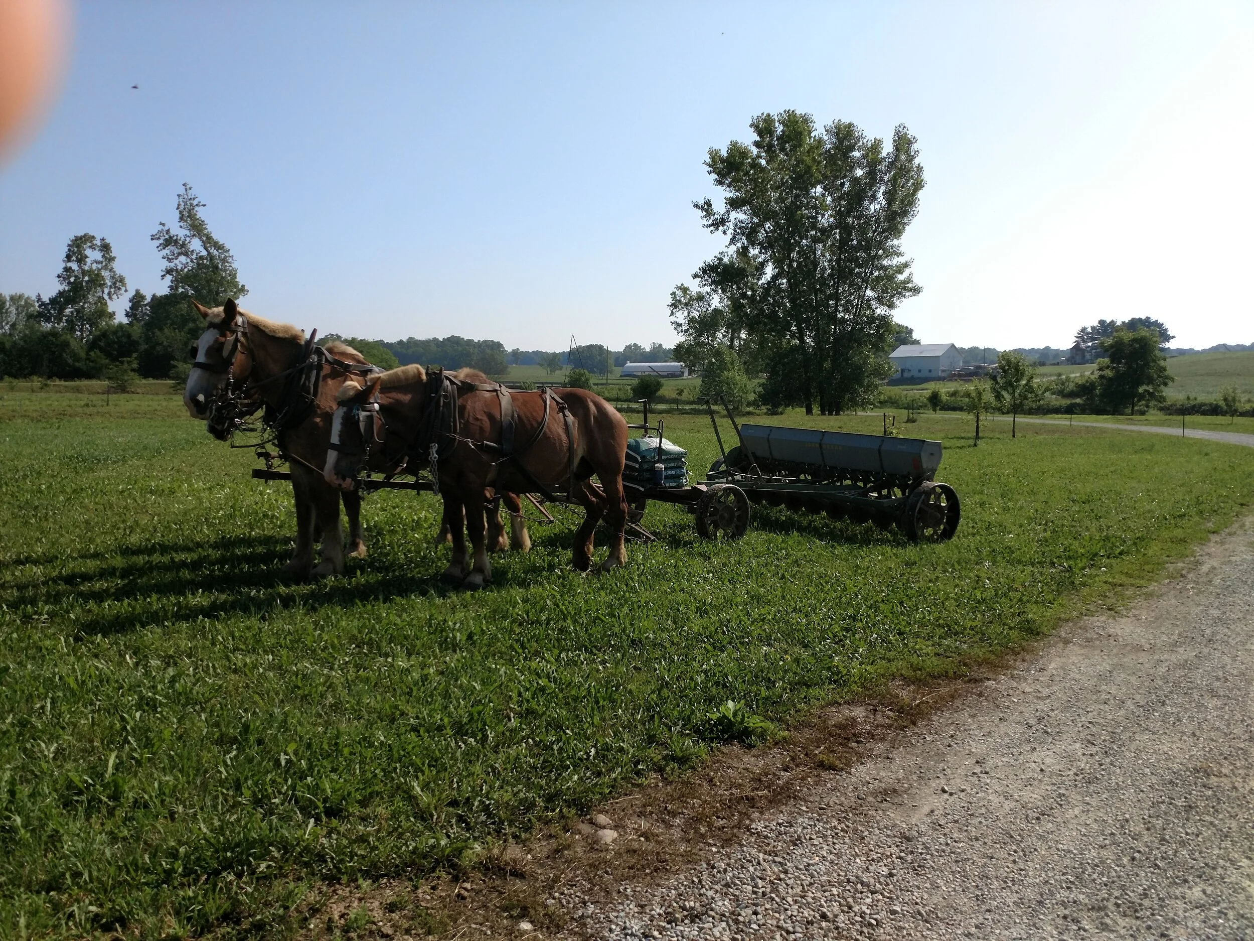 IMG_20190705_100129590.jpg