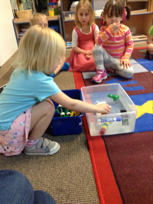 LP_Preschool_Sink or Float.png