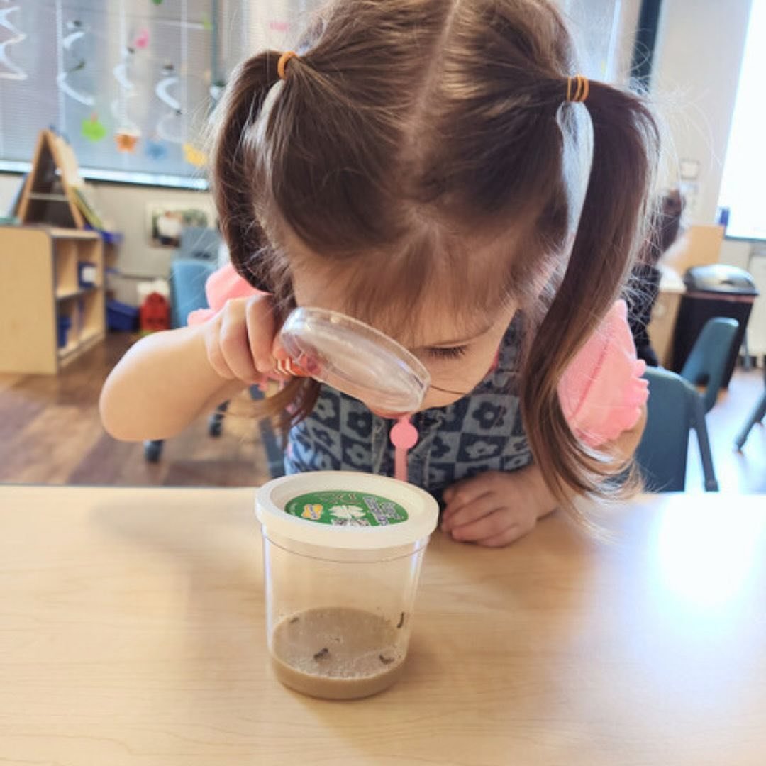 Is it even spring if you don&rsquo;t learn about the life cycle of a butterfly?! We cannot wait to watch our caterpillars grow!