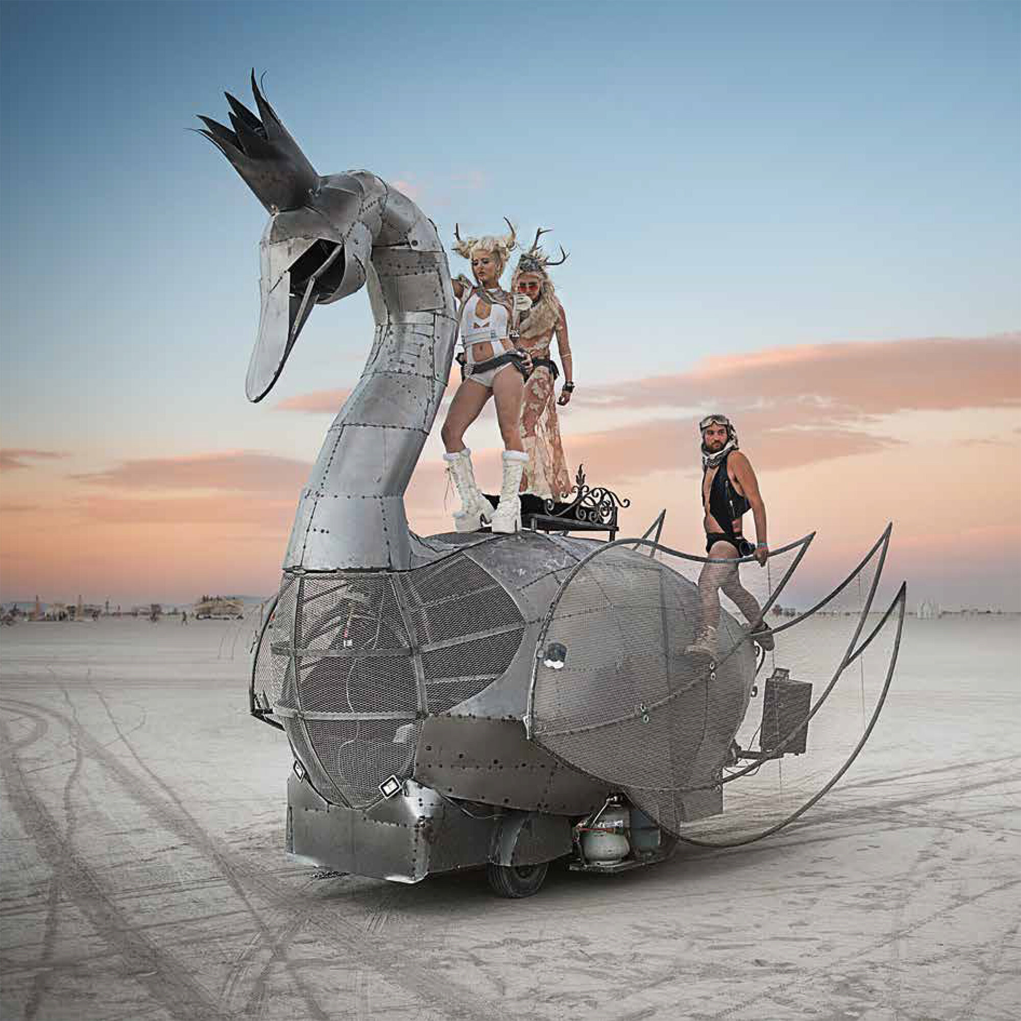 swan-amazon.jpg