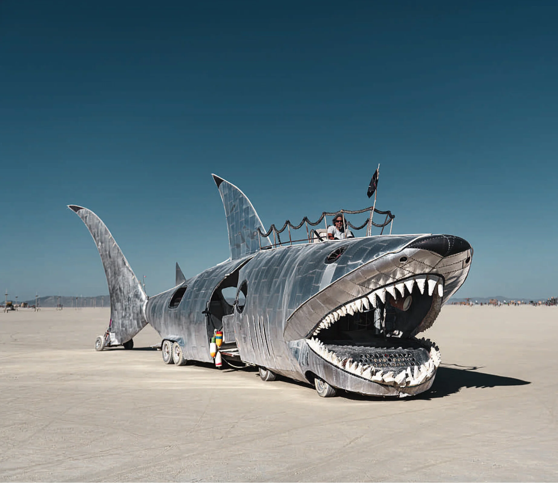 shark-amazon.jpg