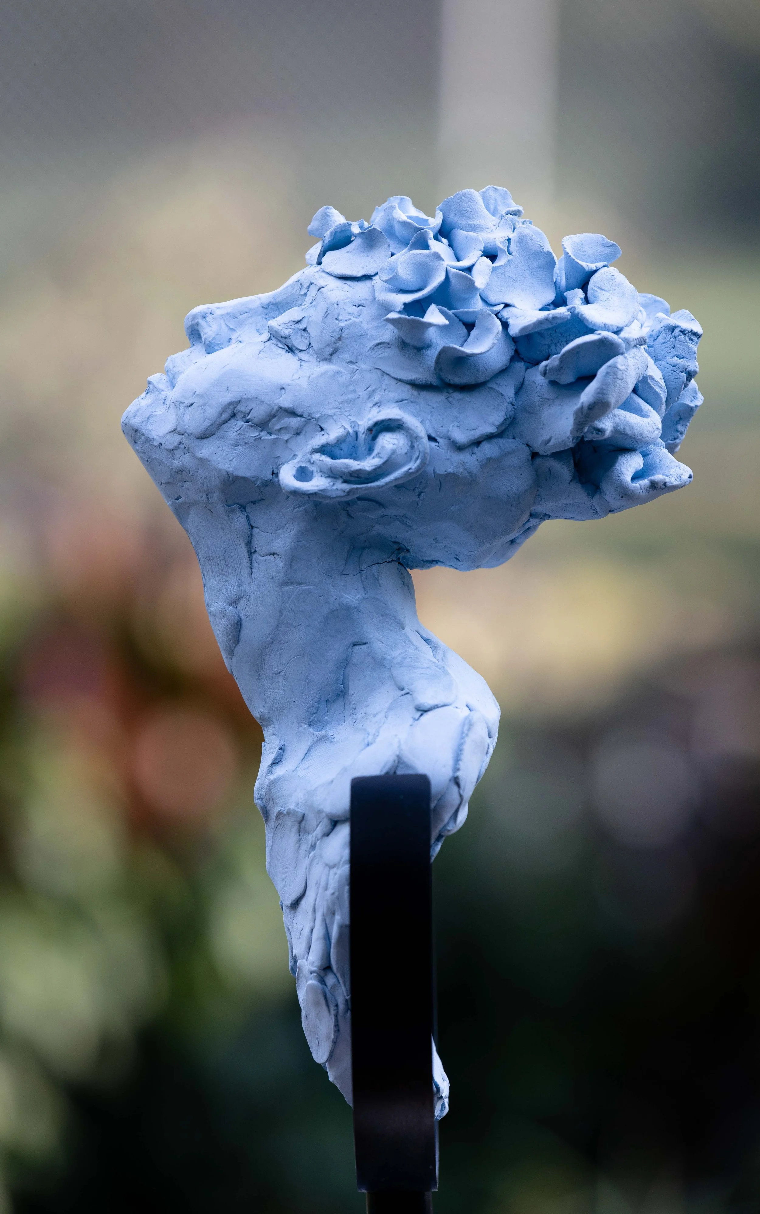 Blue Portrait "Private Commission"

 

 Spanish Porcelain  Private Collection 