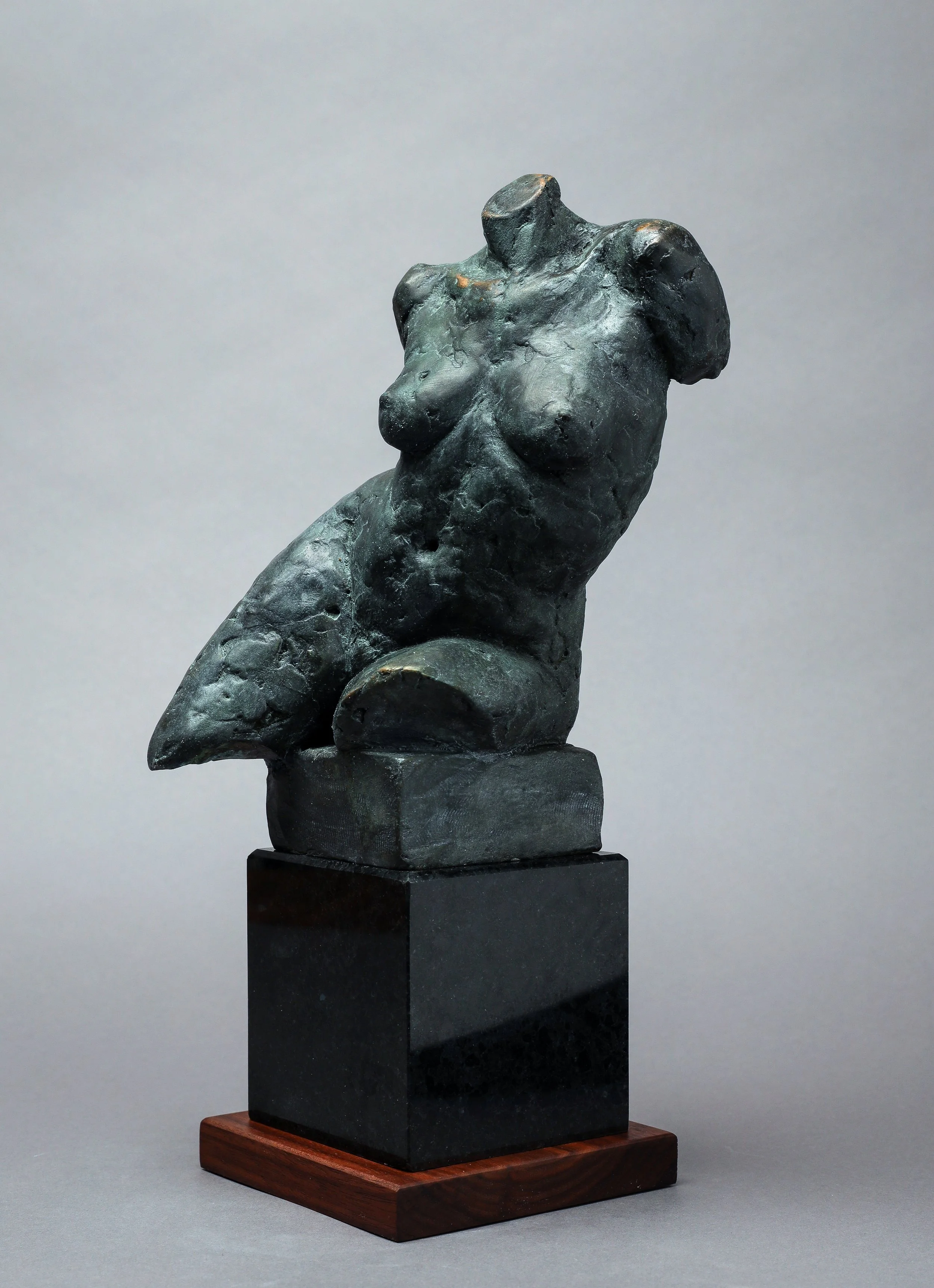 "Cassandra Fragment"

 

 Bronze  10"  Limited Edition ,Available  
