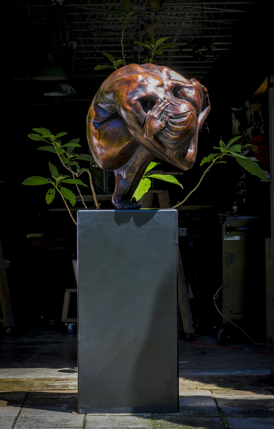 "Awaken LifeSize"

 

 Bronze w/Steel Pedestal   8"  Limited Edition  