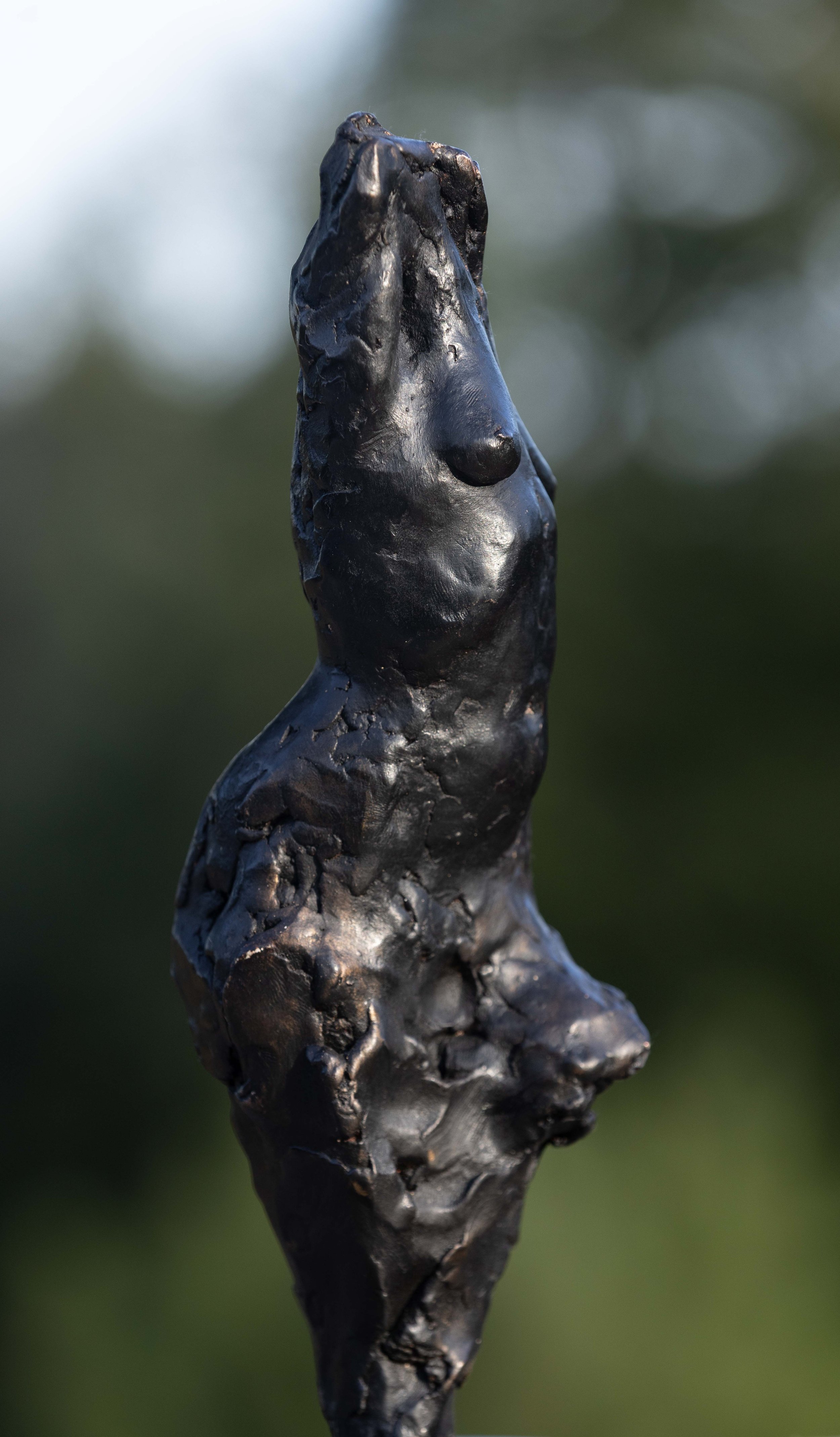 "Sade Fragment II"

 

 Bronze  12"  Limited Edition, Available   