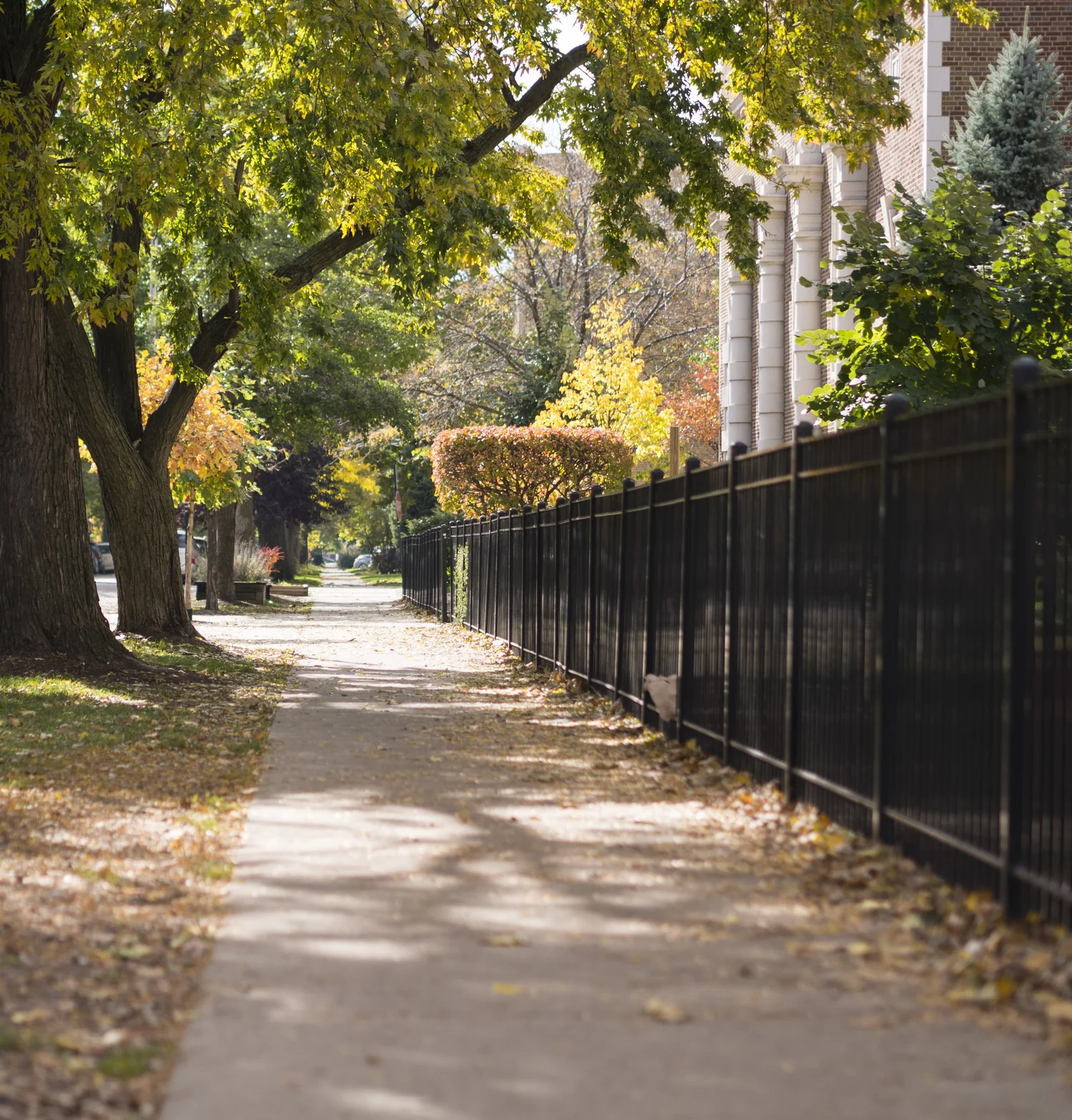 Chigorodó: Descubre el Tesoro Escondido de Antioquia | TikTok, image size:1500x1567