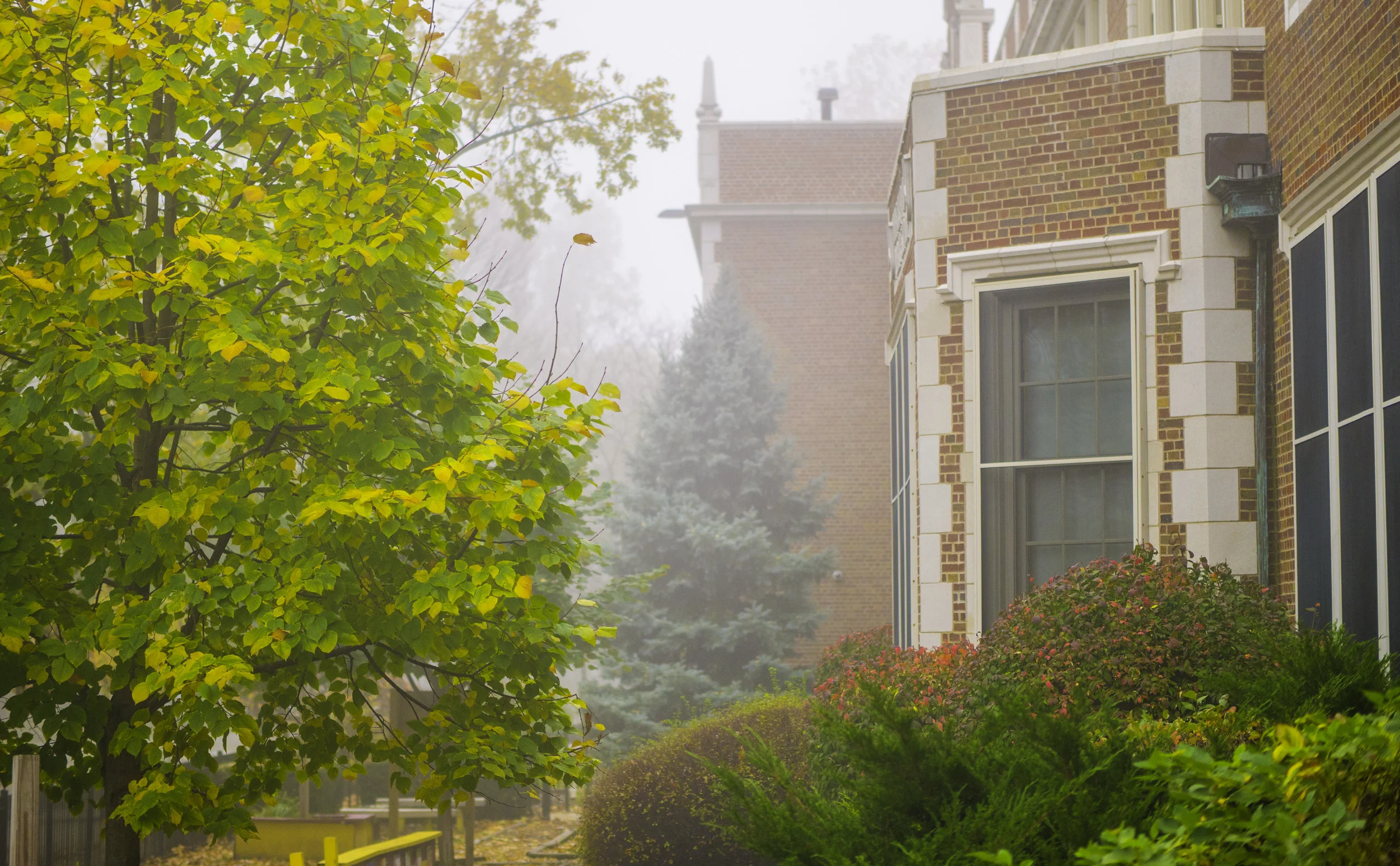 Foggy Peterson13.JPG