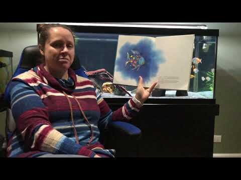 Mrs. Rivas Reads, "The Rainbow Fish".