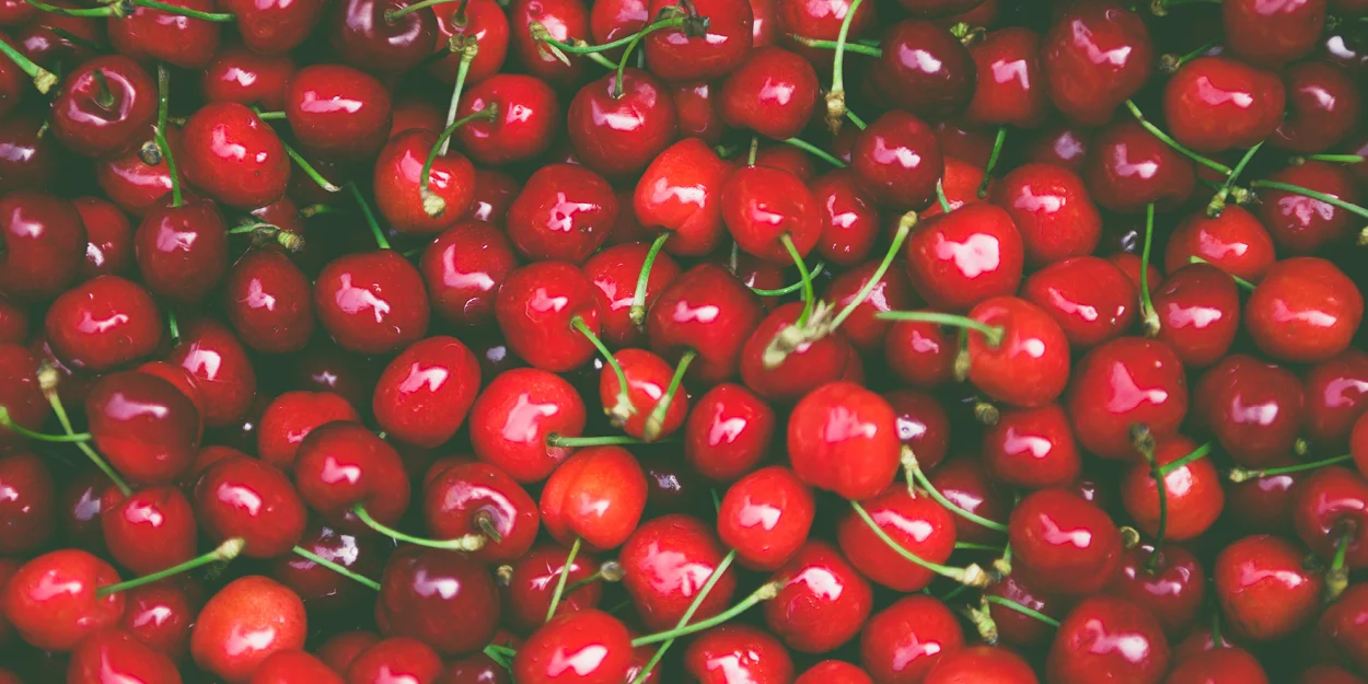 Salt_2019_01-are-christians-cherry-picking-their-morals2.jpg
