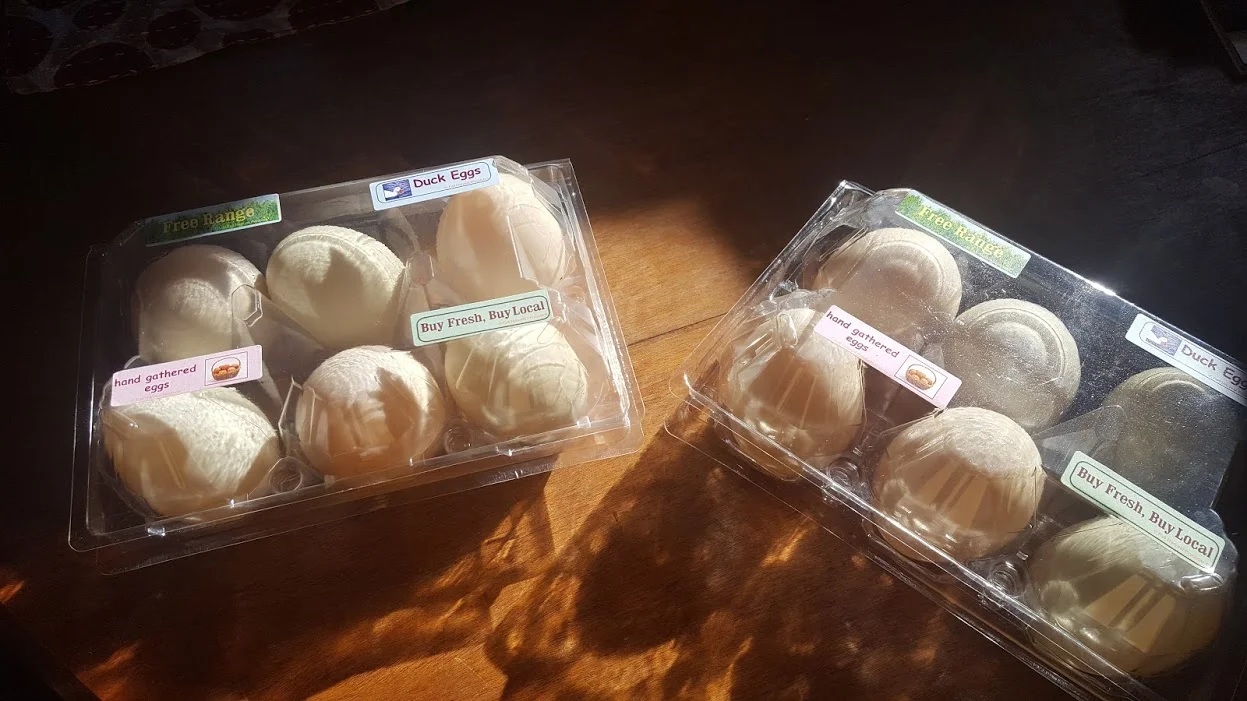 packaged duck eggs.jpg