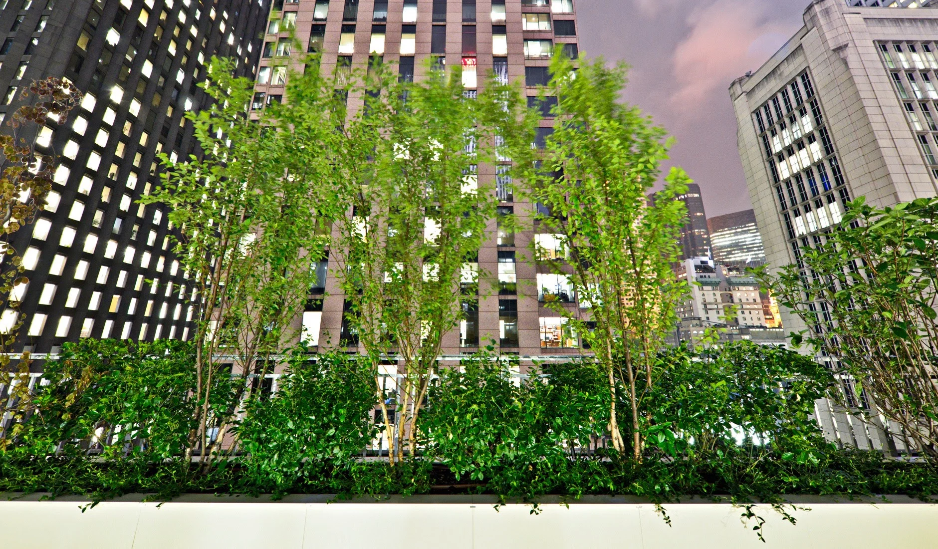 Abbott Capital—1290 Avenue of the Americas