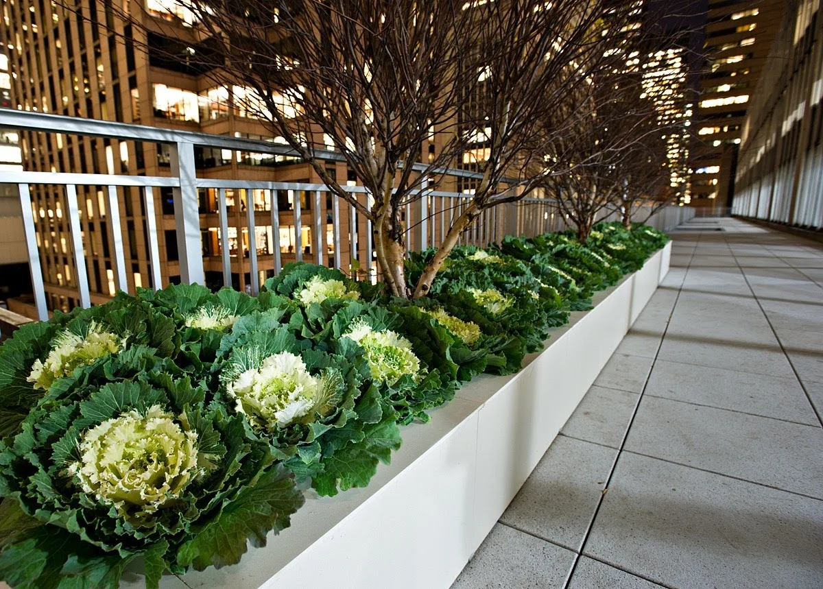 Cushman & Wakefield—1290 Avenue of the Americas